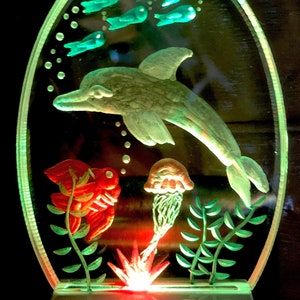 Luz nocturna de delfines