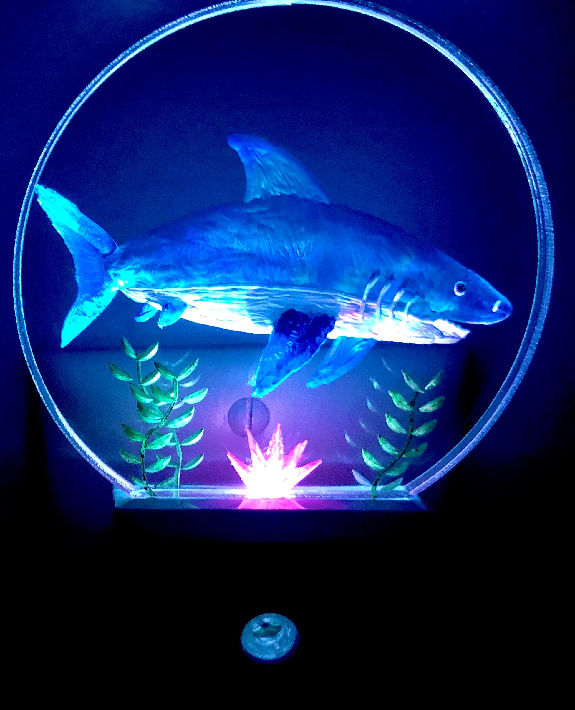 Shark Night Light Etsy