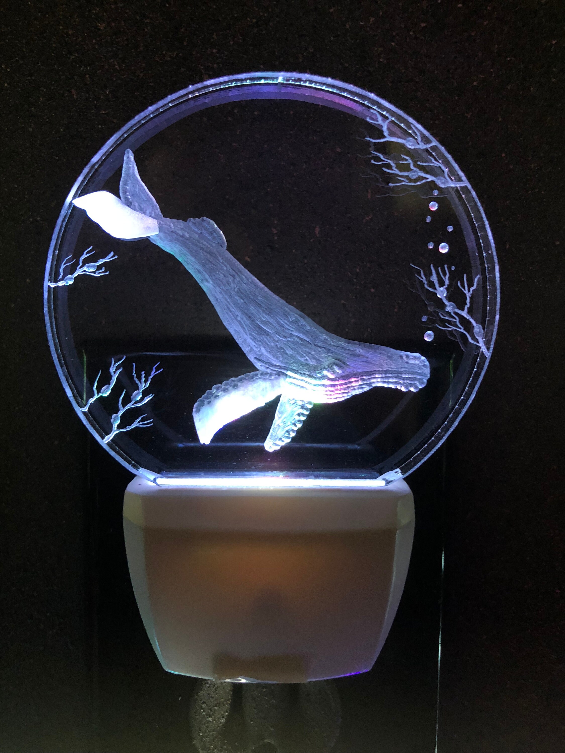 Humpback Whale Night Light