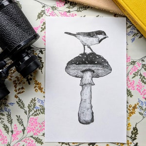 Può includere: Un'illustrazione in bianco e nero di un piccolo uccello appollaiato su un fungo rosso e bianco. Il fungo ha macchie bianche e un gambo lungo e sottile.