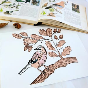 Jay Bird Handprinted Linocut Print - Eurasian Jay Linoprint - Acorns and Oak Tree Leaves Print - Handmade Nature Art - Limited Edition