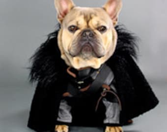 Capa de disfraz para perro Jon Snow Juego de Tronos