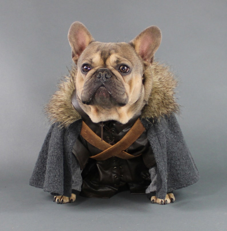 Robb Stark Game of Thrones Dog Costume Ensemble Etsy