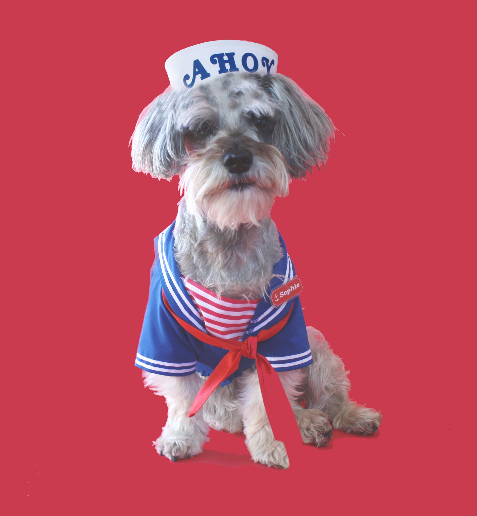 dog costume stranger things