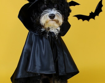 Witch Dog Costume Ensemble