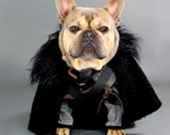 Jon Snow Game of Thrones Dog Costume Ensemble