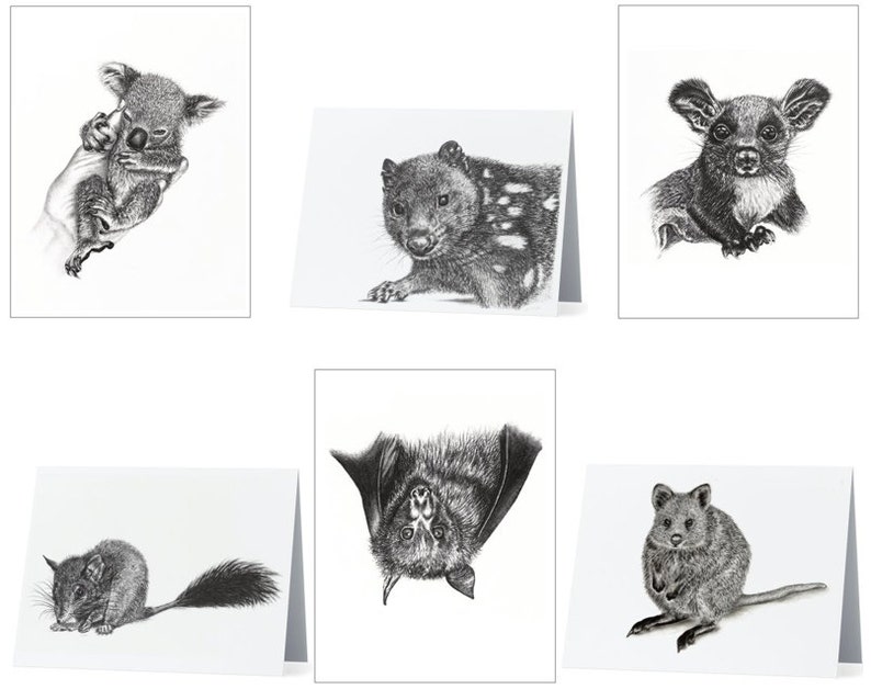 Australian Wildlife Mixed Card Pack 6 cards