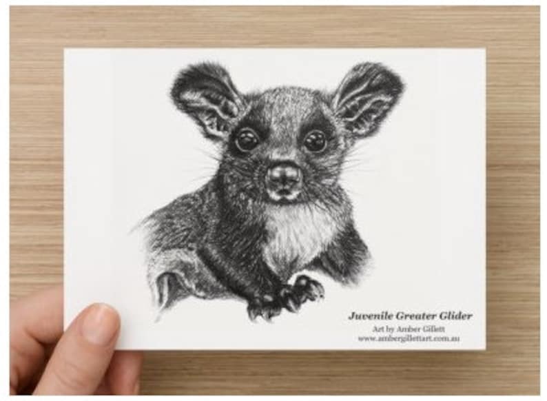 Glider Post Cards x 5