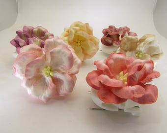 Peony/Magnolia Office Cubicle Clips: Floral Note Holders, Set of 6