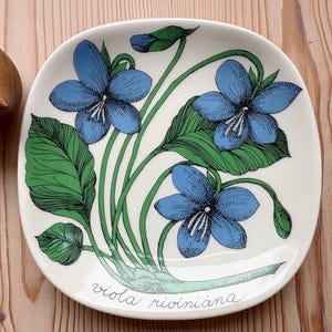 Può includere: Piatto in ceramica bianca con un motivo floreale con viole blu e foglie verdi. Il piatto ha il testo "viola riviniana". Una statuina di topo in legno è sullo sfondo.