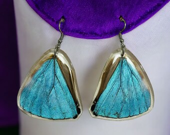 Real Butterfly Earrings/ Peru Morpho Adonis/ Laminated Resined Butterfly Earrings/ Butterfly wings/ Butterfly specimen/ 925 sterling silver