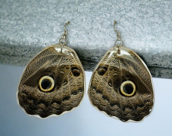 Earrings with Real Butterfly Wings encapsulated in Resin