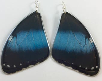 Earrings with Wings of Real Butterflies (Morpho Deidamia)