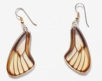 Real Transparent Butterfly Earrings/ Godyris duillia Peru/ See through Laminated Resined Butterfly Earrings/ Butterfly wings/ Butterflies