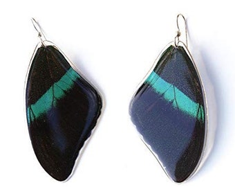Real Butterfly earrings Real preserved laminated resining Butterfly Ear Dangles 925 sterling silver butterfly design
