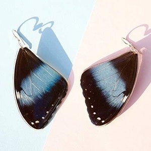 Puede incluir: Un par de pendientes con alas de mariposa azules y negras. Las alas son delicadas y tienen una textura natural.