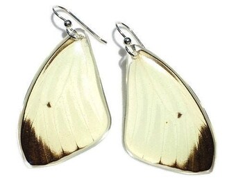 Aretes con Alas de Mariposas reales Pieriballia Mandela (Peru)