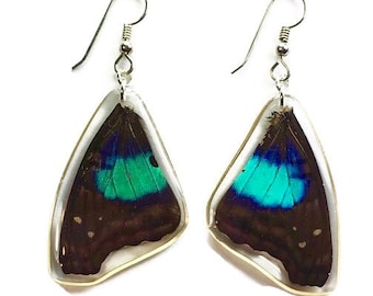 Real Butterfly earrings/ Doxocopa laurentia Peru/ Real preserved laminated resining Butterfly Ear Dangles/ rainforest metallic blue