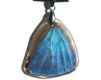 Real Butterfly Wing Pendant
