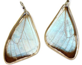 Butterfly wing earrings, minimalist jewelry, butterfly jewelry, holographic earrings, statement jewelry, nature lover, Morpho Sulkowskyi