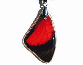 Real Butterfly Wing Pendant