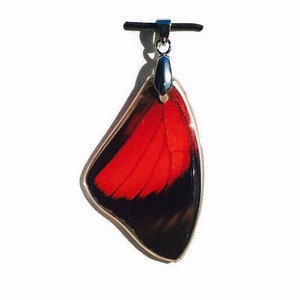 Real Butterfly Wing Pendant
