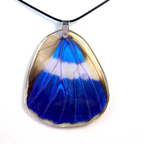 Real Butterfly Wing Pendant