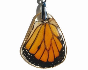 Real Butterfly Wing Pendant