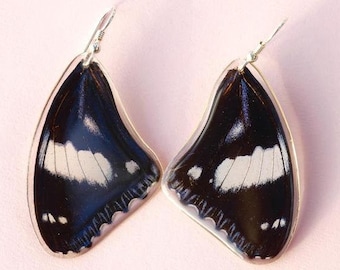 Real Butterfly earrings Real preserved laminated resining Butterfly Ear Dangles 925 sterling silver butterfly design
