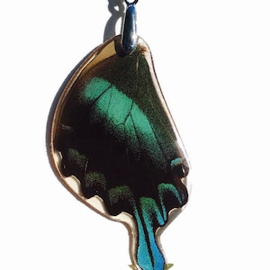 Real Butterfly Wing Pendant