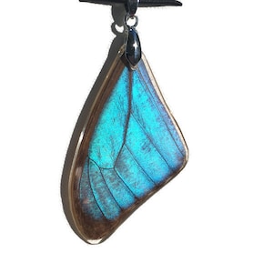 Real Butterfly Wing Pendant