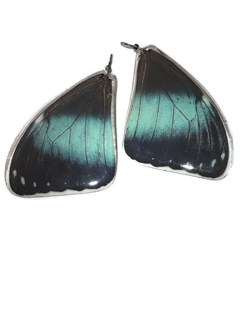 Real Butterfly earrings Real preserved laminated resining Butterfly Ear Dangles 925 sterling silver butterfly design
