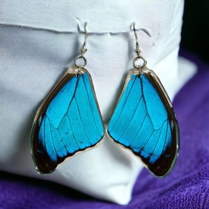 Butterfly Earrings, Blue Morpho, Real butterfly, Nature inspired, Spiritual gift, Mother nature, great gift, Menelaus, earrings or pendant