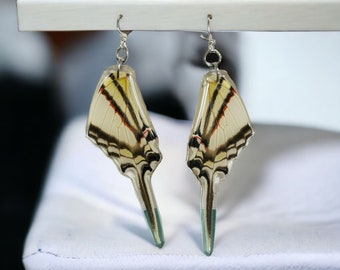 Real Butterfly Earrings/Peru Eurytides protesilaus/Crystal Clear Laminated Resined Butterfly/Butterfly wings/Butterfly specimen