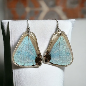 Artisan gift, gift for artist, gift for nature lover, real butterfly wings, real butterfly, butterfly jewelry, butterfly, Morpho Sulkowskyi