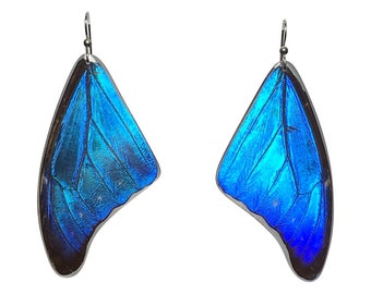 Butterfly Earrings, Blue Morpho, Real butterfly, Nature inspired, Spiritual gift, Mother nature, great gift, earrings (Morpho Cacica)