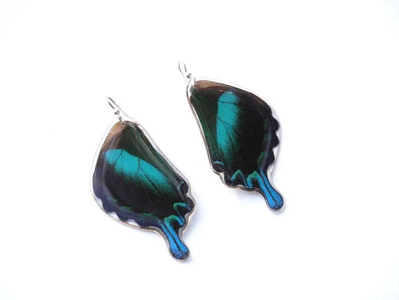 Real Butterfly earrings/Papilio blumei/ Real preserved laminated resining Butterfly Ear Dangles/ 925 sterling silver/ butterfly design