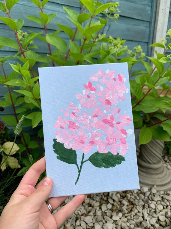 Image of Single pink and white hydrangea flower against a blue sky