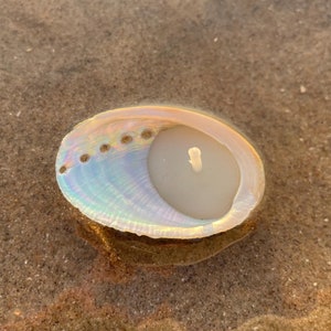 24 mother of pearl shell candles of beeswax in white or mother of pearl. Sweet gift of the ocean. Magical miniature abalone candles.