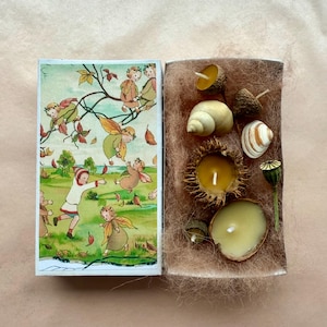 Peut inclure: Une boîte ouverte avec une illustration de fées à gauche et des éléments naturels à droite. Le côté droit contient de petites bougies dans des chapeaux de glands et des coquillages. L'illustration représente des fées jouant dans un champ avec des feuilles d'automne.