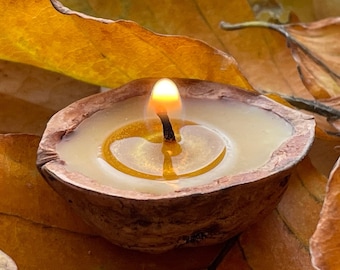 5 candele galleggianti in noce (cera d'api color oro, giallo, bianco, madreperla o champagne) un piccolo dolce dono della natura, candela in cera d'api, candela galleggiante