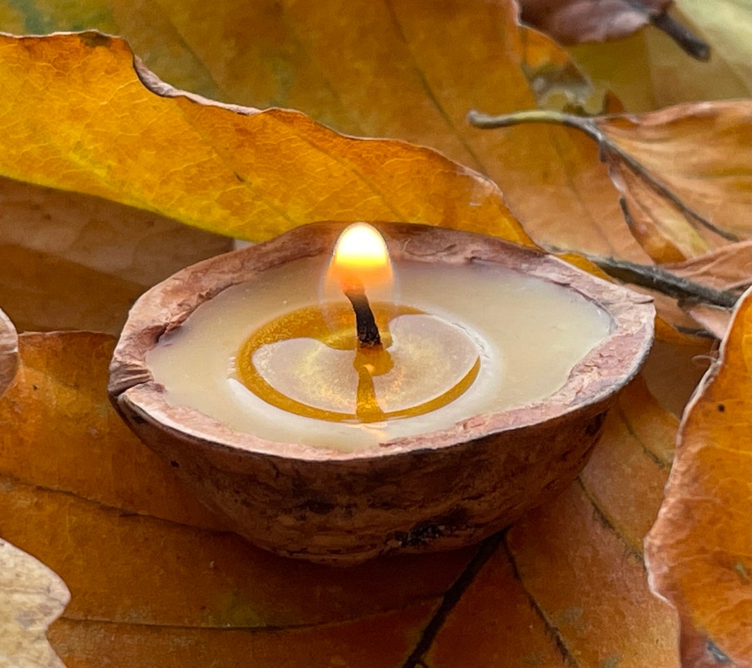 24 Walnut Beeswax Floating Candles, Handmade, Gift of Nature, Birthday