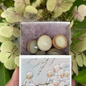 10 acorn cap candles made of beeswax in a matchbox with sheep wool. Many illustrations to choose from, or custom. Sweet Waldorf nature gift.