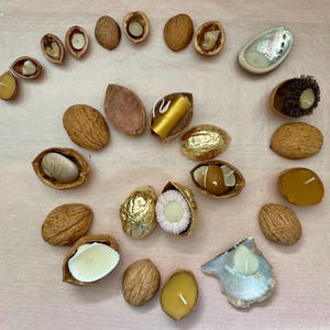 Advent calendar with beeswax candles made from acorn shells and other materials, wrapped in walnuts. Sweet Christmas gift from nature