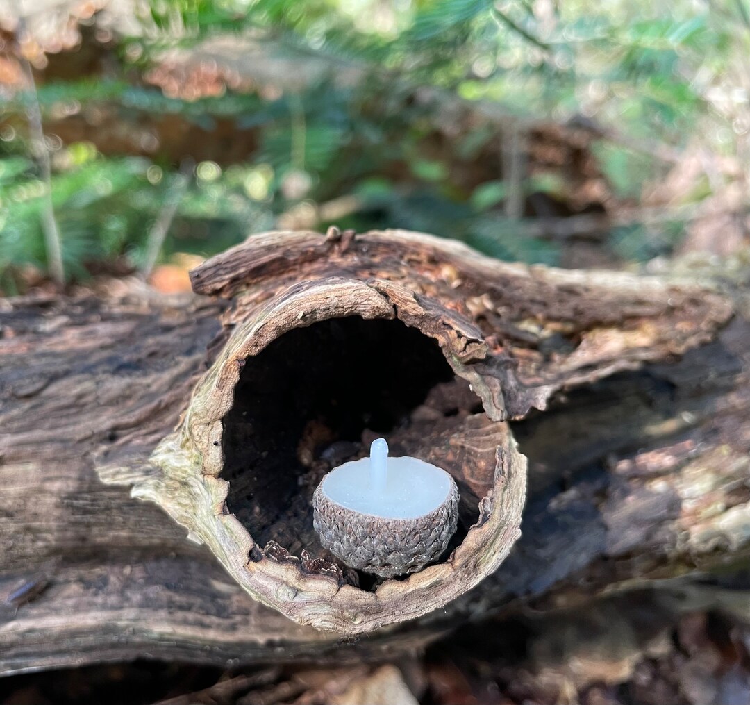 5 Acorn Cap Beeswax Floating Candles in Gold Mother of Pearl Etsy UK