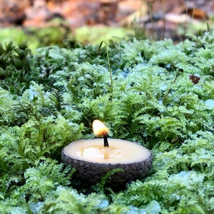 16 acorn cap beeswax floating candles in gold, mother of pearl, champagne, yellow or white. handmade magical and meaningful gift