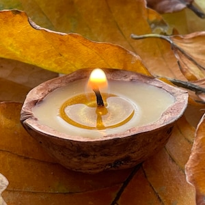 Puede incluir: Una vela encendida dentro de una cáscara de nuez, sobre un lecho de hojas otoñales. La llama brilla intensamente, iluminando la cera dentro de la cáscara. Las hojas son de varios tonos de marrón y amarillo.