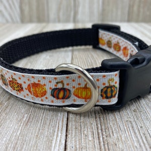 Pumpkin Collar, Autumn, Fall Collar, Halloween Collar, Fall Lover Gift, Polka Dot, Autumn, Pumpkins, New Puppy, Dog Mom Gift, Pet Gift
