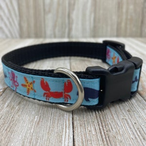 Nautical Dog Collar, Beach Collar, Dog Mom Gift, Green, Blue Dog Collar, Starfish Dog Collar, Crab, Vacation Collar, New Puppy, Dog Gift