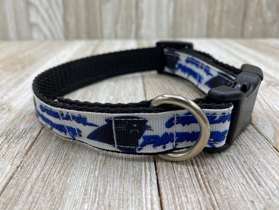 panthers dog collar